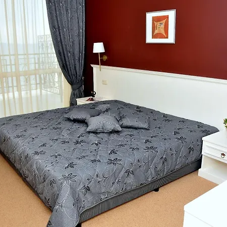 Festa Hotel 4*